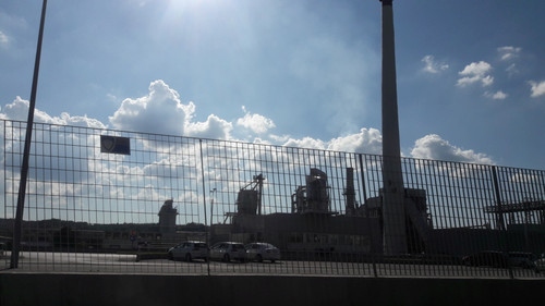 Random Life Vector.jpg