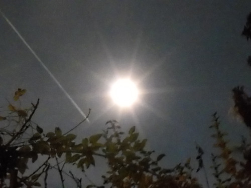 Light; Publicdomain; Cc0; Freeimage;.jpg