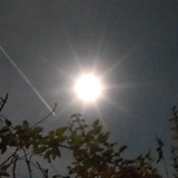 Light; Publicdomain; Cc0; Freeimage;