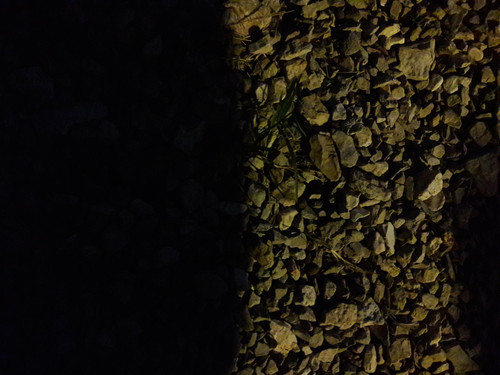 Light; Publicdomain; Cc0; Freeimage;.jpg