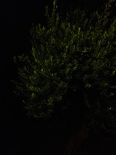 Light; Publicdomain; Cc0; Freeimage;.jpg