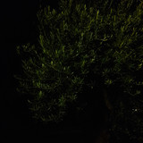 Light; Publicdomain; Cc0; Freeimage;