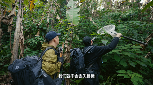 野境求真.Dare.For.Truth.S01E01.2024.2160p.WEB DL.H265.AAC HHWEB.mp4 20241225 153113.471.png