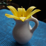 Flower; Publicdomain; Cc0; Freeimage;