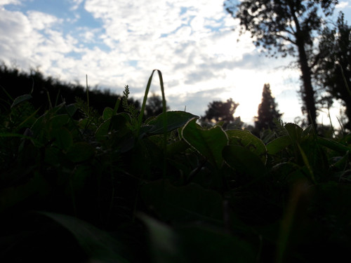 View Of A Goblin.jpg