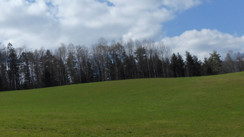 Grass; Publicdomain; Cc0; Freeimage;.jpg