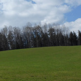 Grass; Publicdomain; Cc0; Freeimage;