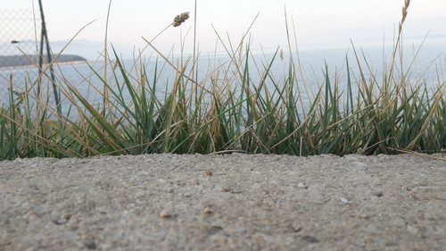 Nature Environment.jpg