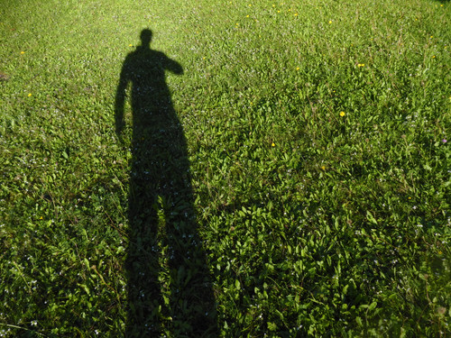 Flora Grass A Green Lawn Publicdomain (15).jpg