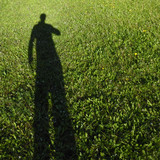 Flora Grass A Green Lawn Publicdomain (15)