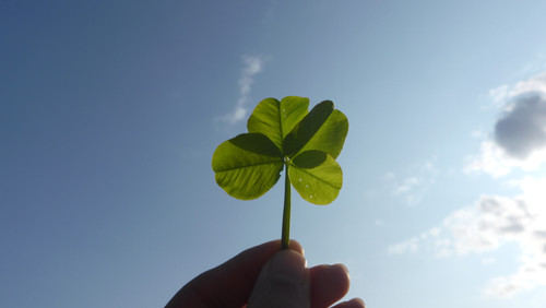 Leafs; Publicdomain; Cc0; Freeimage;.jpg