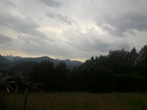 Forest; Publicdomain; Cc0; Freeimage;.jpg