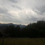 Forest; Publicdomain; Cc0; Freeimage;