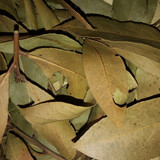 Leafs; Publicdomain; Cc0; Freeimage;