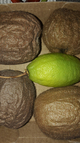 Details In Color.jpg