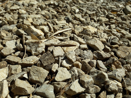 Leafs; Publicdomain; Cc0; Freeimage;.jpg