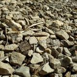 Leafs; Publicdomain; Cc0; Freeimage;