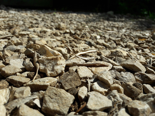 Leafs; Publicdomain; Cc0; Freeimage;.jpg