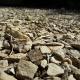 Leafs; Publicdomain; Cc0; Freeimage;