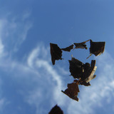 Leafs; Publicdomain; Cc0; Freeimage;