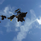 Leafs; Publicdomain; Cc0; Freeimage;