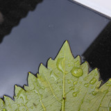 Leafs; Publicdomain; Cc0; Freeimage;