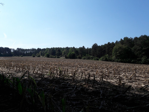 Fields; Publicdomain; Cc0; Freeimage;.jpg