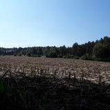 Fields; Publicdomain; Cc0; Freeimage;