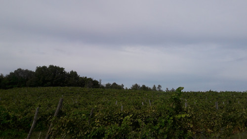 Fields; Publicdomain; Cc0; Freeimage;.jpg