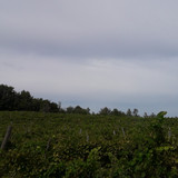 Fields; Publicdomain; Cc0; Freeimage;