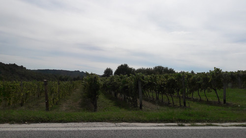 Fields; Publicdomain; Cc0; Freeimage;.jpg