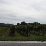 Fields; Publicdomain; Cc0; Freeimage;