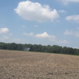 Fields; Publicdomain; Cc0; Freeimage;