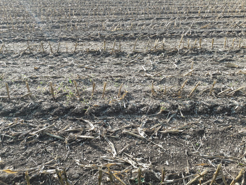 Fields; Publicdomain; Cc0; Freeimage;.jpg