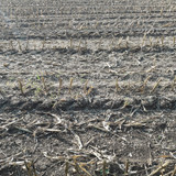 Fields; Publicdomain; Cc0; Freeimage;