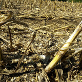 Fields; Publicdomain; Cc0; Freeimage;