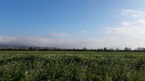 Fields; Publicdomain; Cc0; Freeimage;.jpg