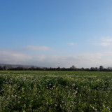 Fields; Publicdomain; Cc0; Freeimage;