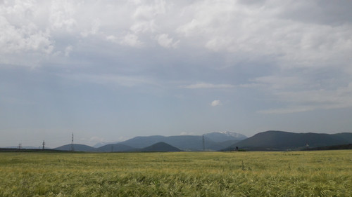 Fields; Publicdomain; Cc0; Freeimage;.jpg