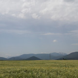 Fields; Publicdomain; Cc0; Freeimage;