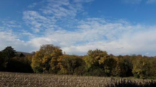 Fields; Publicdomain; Cc0; Freeimage;.jpg