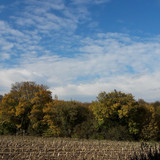 Fields; Publicdomain; Cc0; Freeimage;