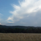 Fields; Publicdomain; Cc0; Freeimage;