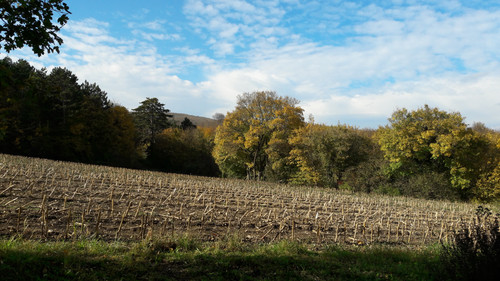 Fields; Publicdomain; Cc0; Freeimage;.jpg