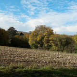 Fields; Publicdomain; Cc0; Freeimage;