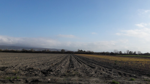 Fields; Publicdomain; Cc0; Freeimage;.jpg