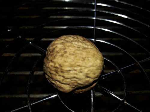 Dry Object Photo.jpg