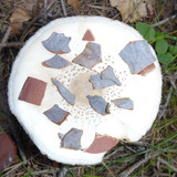 Flora Mushrooms Fungus Publicdomain (14)