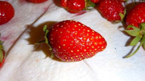 Flora Fruits Vegan Publicdomain (55).jpg