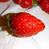 Flora Fruits Vegan Publicdomain (55)